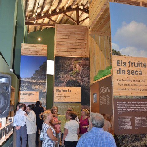 CENTRO-DE-INTERPRETACIÓN-DE-LOS-SABORES-Y-MUSEO-DEL-ACEITE-DE-OLIVA-DE-RIUDECANYES-09